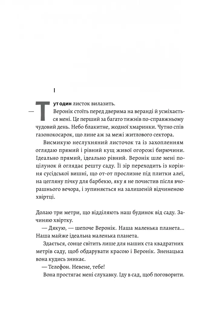 Код 612. Хто вбив Маленького Принца? - Мішель Бюссі - фото 7