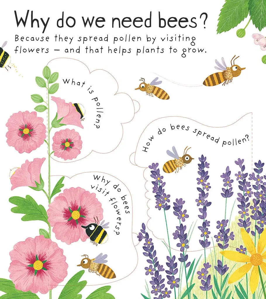 Lift-the-Flap First Questions & Answers: Why Do We Need Bees? - фото 4