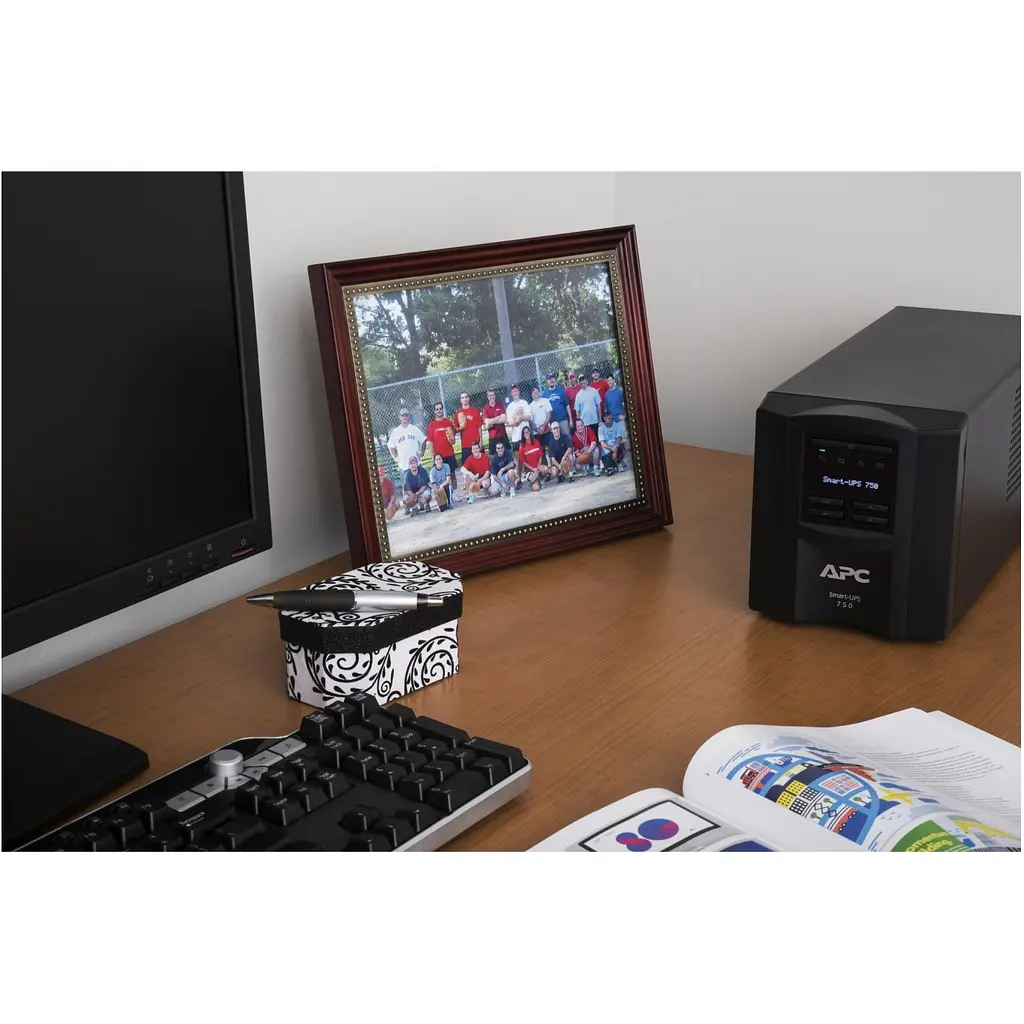 Источник бесперебойного питания [ИБП] APC Smart-UPS 750VA [SMT750IC] [122446] - фото 4
