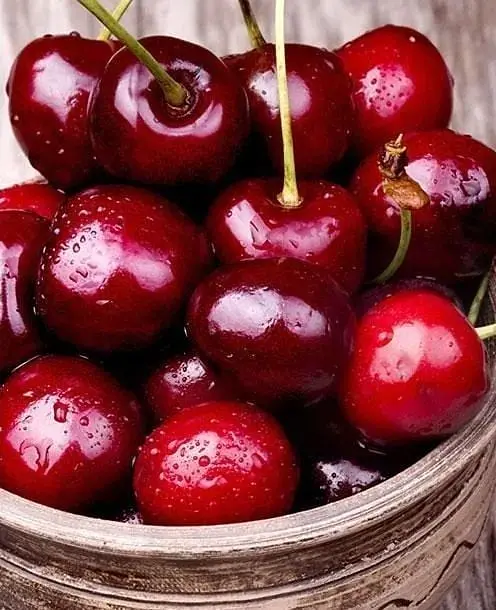 Саженец Agro-Market Черешня Василиса (летний сорт, поздний срок созревания) (35972) 1 шт. в упаковке - фото 2