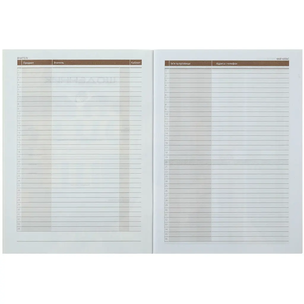 Щоденник шкільний ZiBi Smart Line Sport А5 40 аркушів (ZB.13104) - фото 4