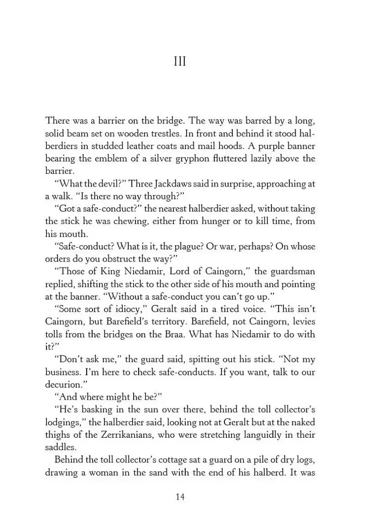 The Witcher. Sword of Destiny - фото 8