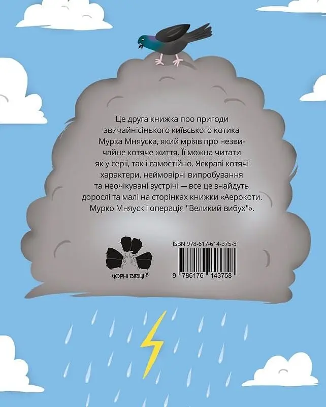 Аерокоти: Мурко Мняуск і операція "Великий вибух" - фото 2