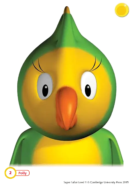 Super Safari 1 Flashcards - фото 2