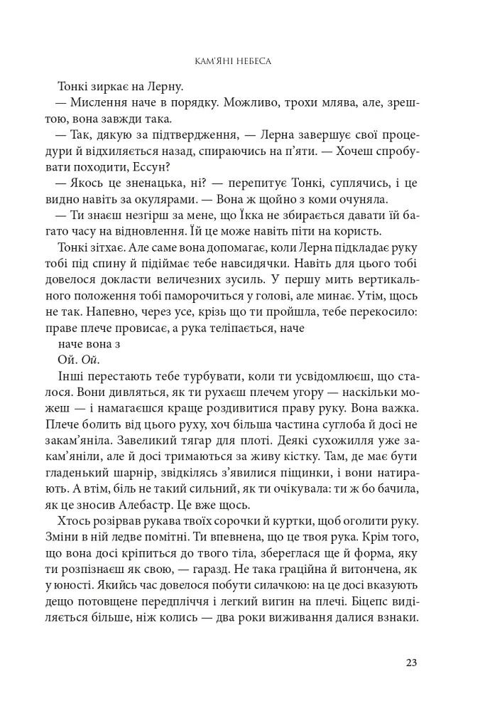 Розламана земля. Кам’яні небеса. Книга 3 - фото 14