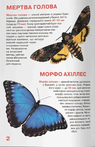 Велика книжка. Метелики - фото 2