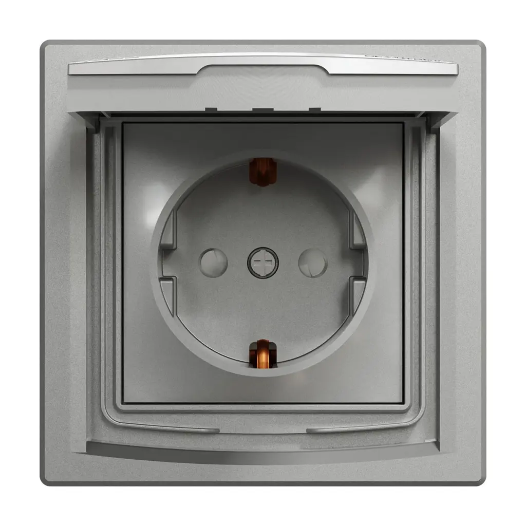 Розетка Schneider Electric ASFORA з кришкою IP44, алюміній (EPH3100361)