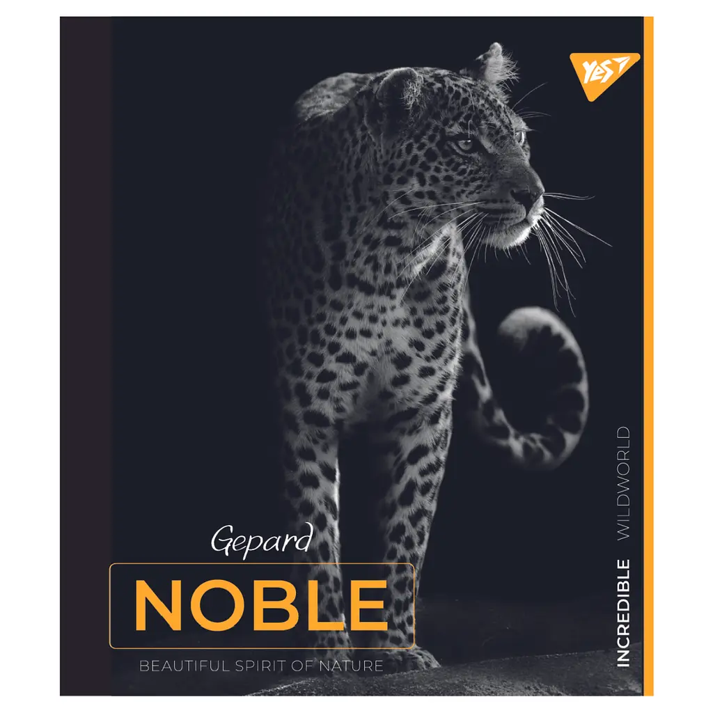 Набір зошитів Yes Noble А5 в клітинку 48 аркушів 5 шт. (766862) - фото 3