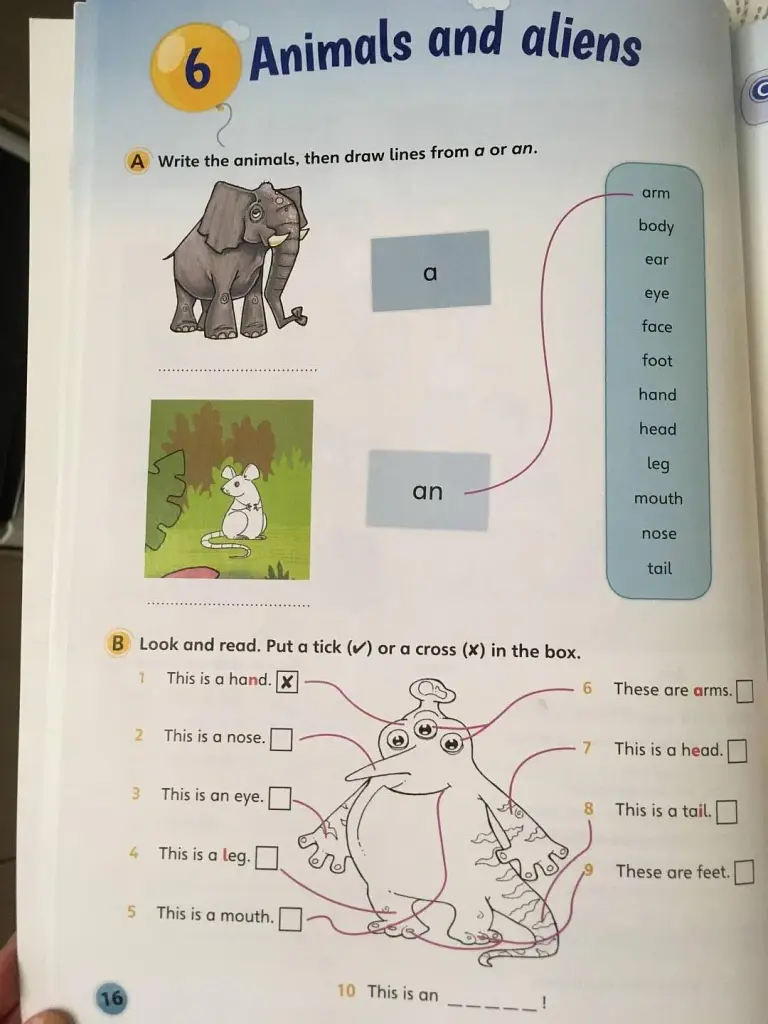Fun for Starters. Student's Book with Online Activities with Audio and Home Fun Booklet 2 - фото 5