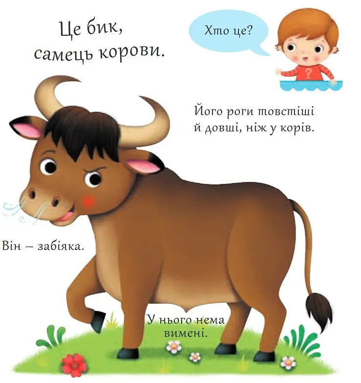 Книга Хто це? Корови. Автор - Емілія Бомон, Наталя Беліно (Богдан) - фото 3