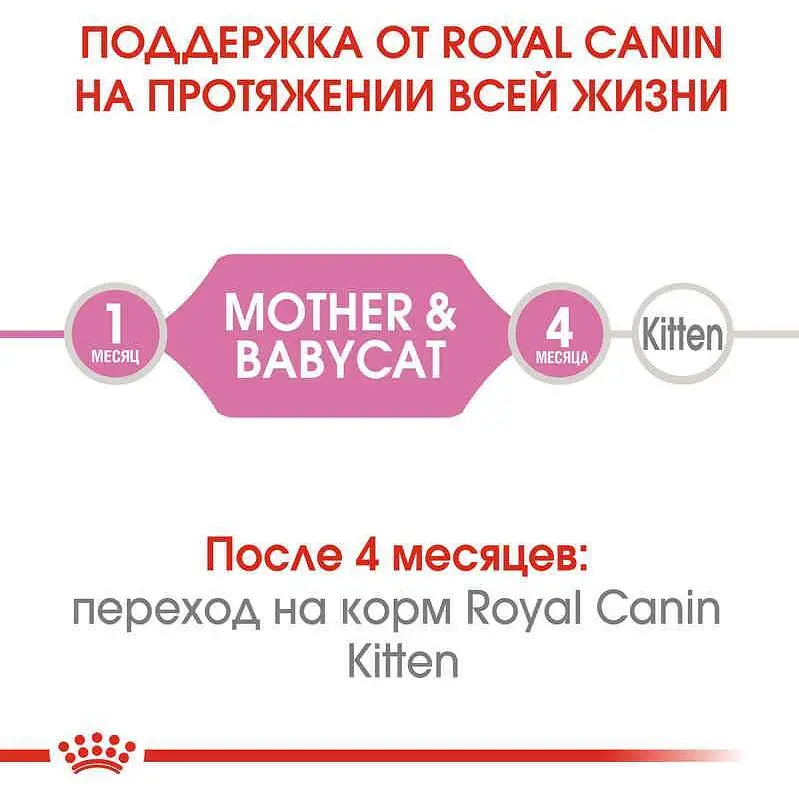 Набор влажного корма для котят до 4 месяцев Royal Canin Babycat Instinctive 2.34 кг (12 шт. х 195 г) - фото 2