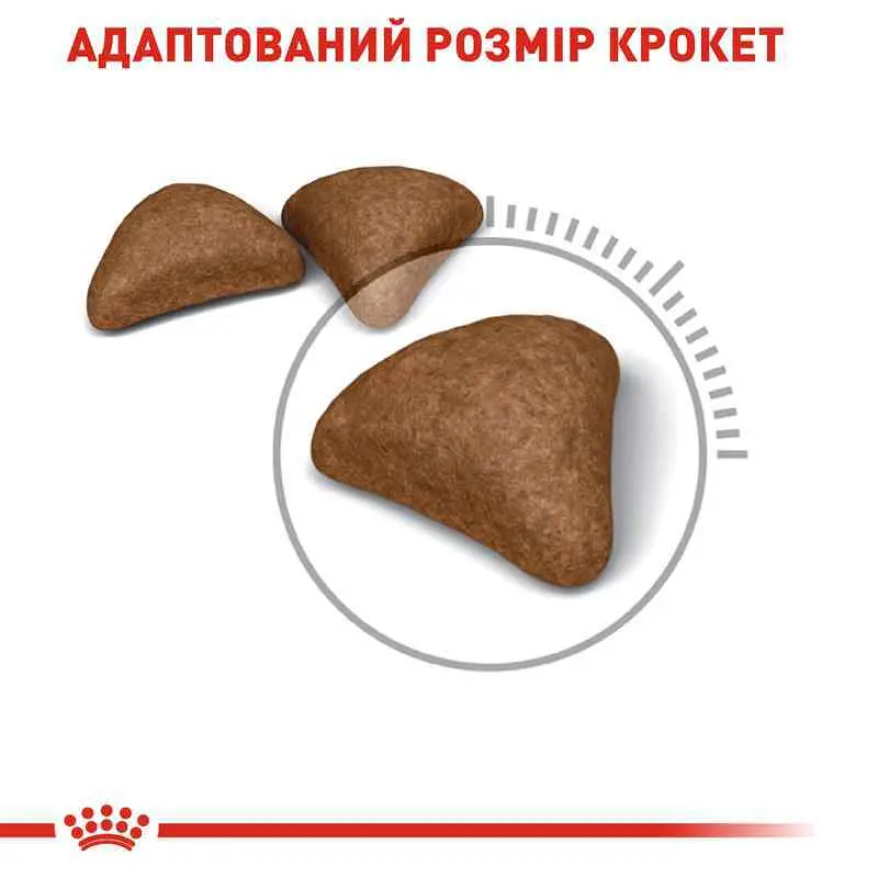 Сухий корм для виведення грудочок шерсті у котів Royal Canin Hairball Care з м'ясом птиці 2 кг - фото 2