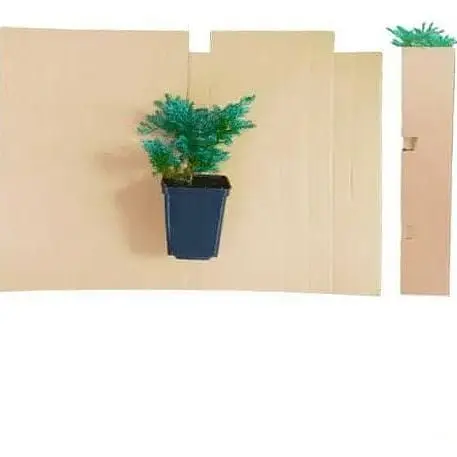 Саджанець Agro-Market Ялівець скельний Блю Ерроу (Blue Arrow) горщик P9 (25864) 1 шт. в упаковці - фото 3