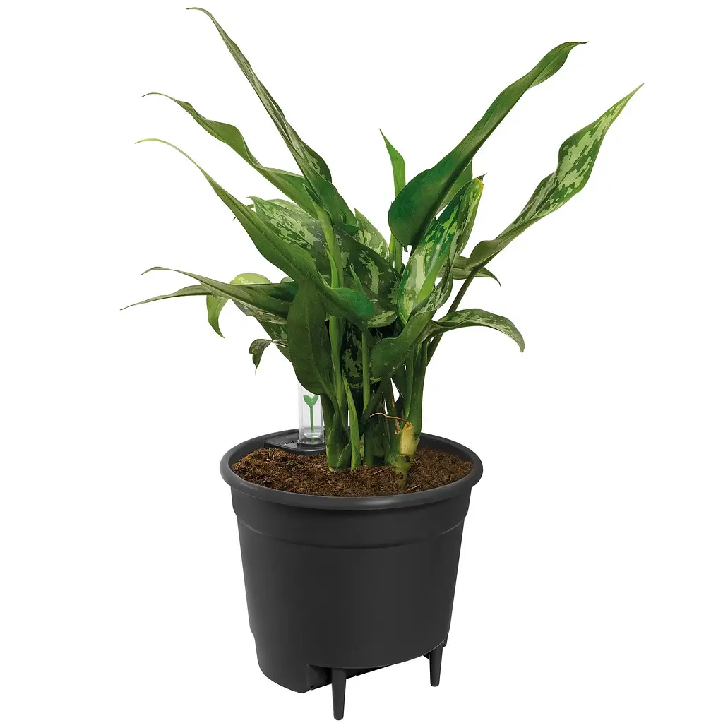 Вставка з автополивом Elho self-watering insert 21см (331573) - фото 4