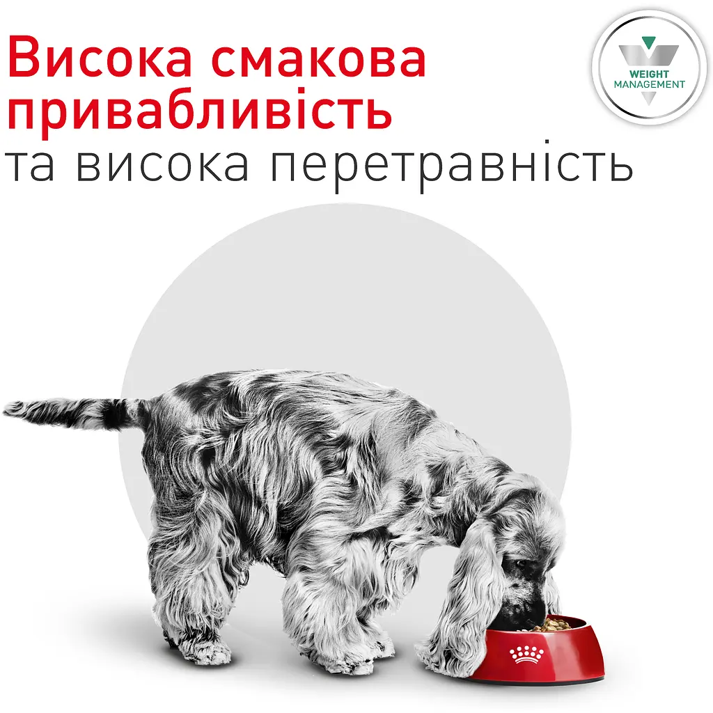 Сухий корм для собак малих порід Royal Canin Glycobalance Small при цукровому діабеті 1.5 кг - фото 4