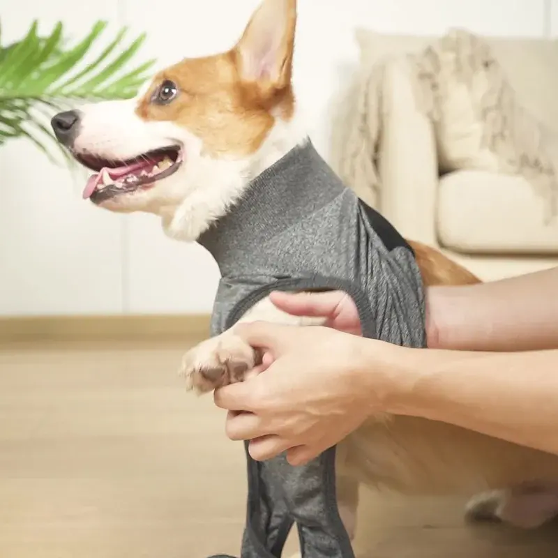 Гігієнічні труси/комбінезон для собак WanTalk Full Body Dog Diaper, Grey, L - фото 4