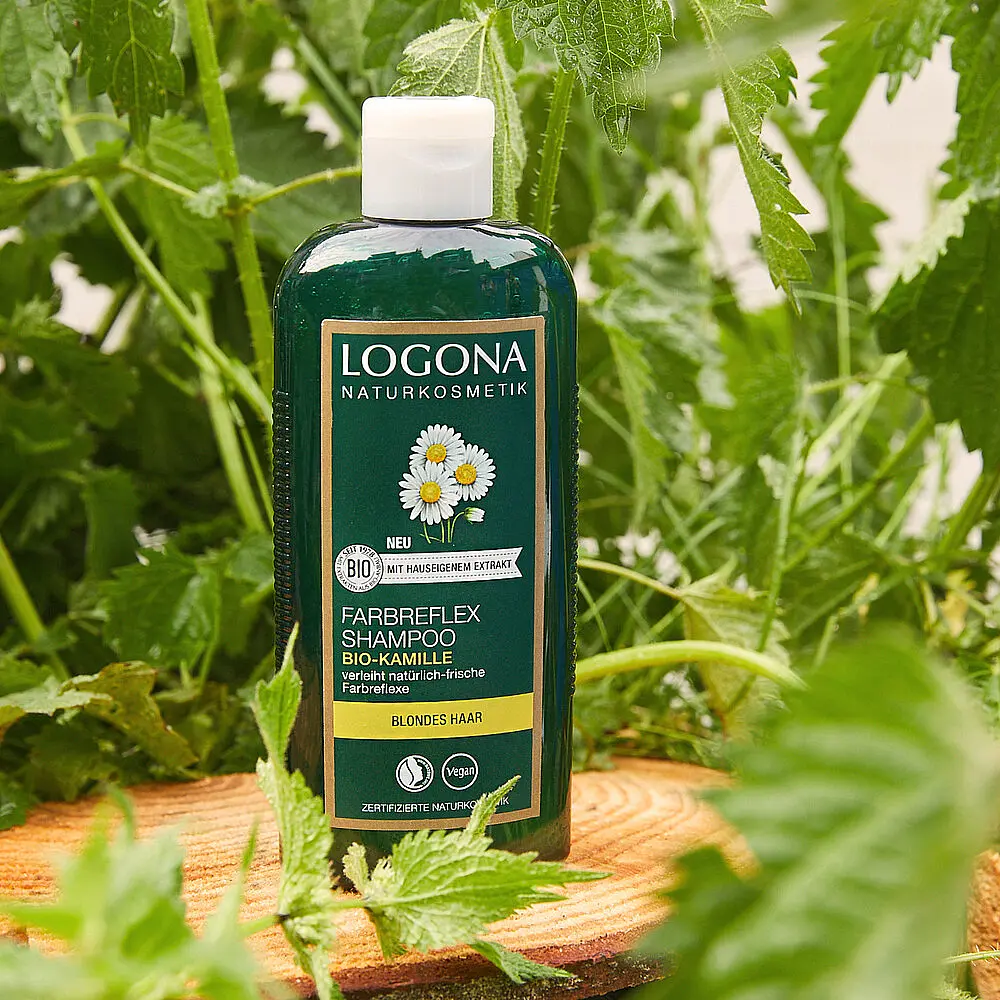 БИО-Шампунь для окрашенных светлых волос Ромашка Logona 250 мл - фото 2