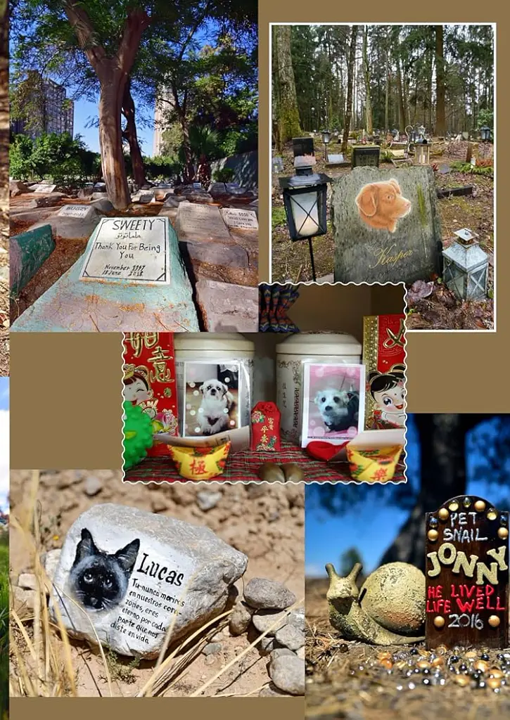 Faithful unto Death. Pet cemeteries, animal graves and eternal devotion - Пол Кудунаріс - фото 17