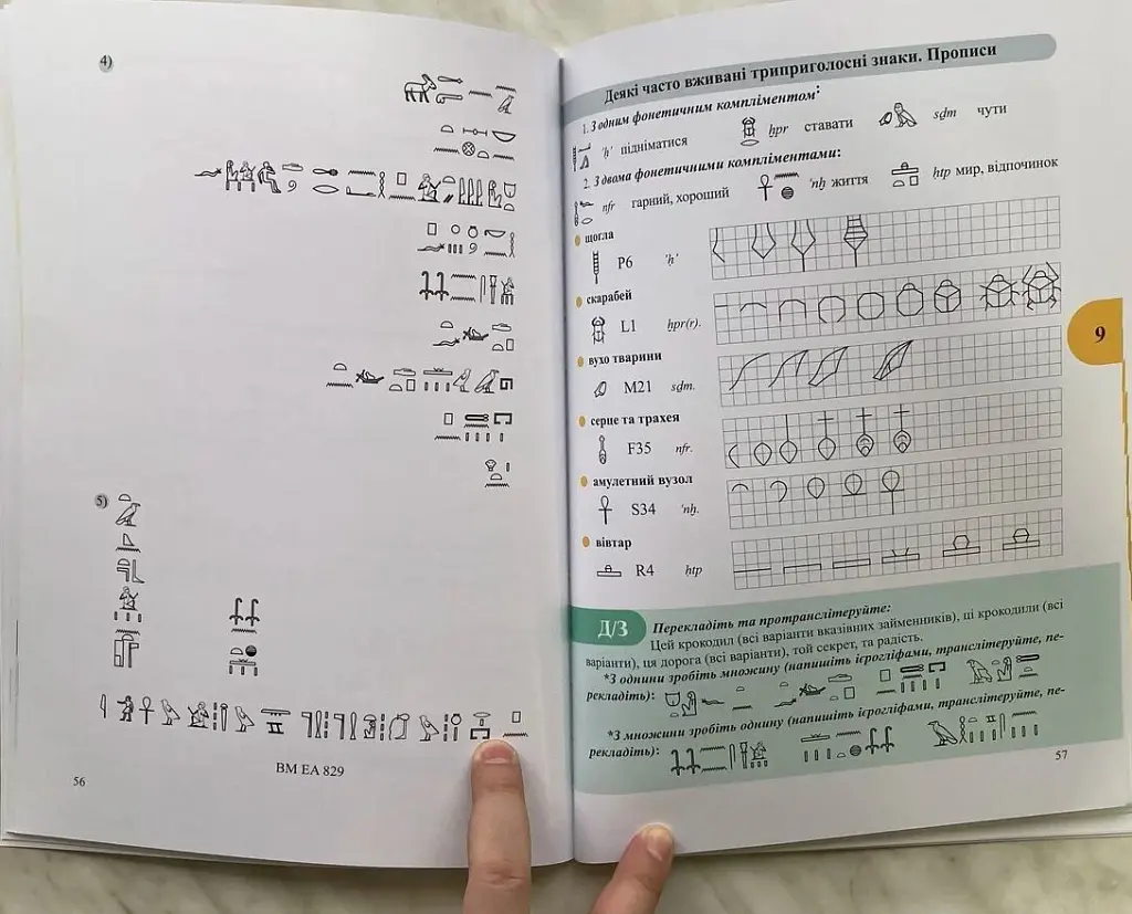 Workbook. Початковий курс середньоєгипетської мови - Микита Самсоненко - фото 4