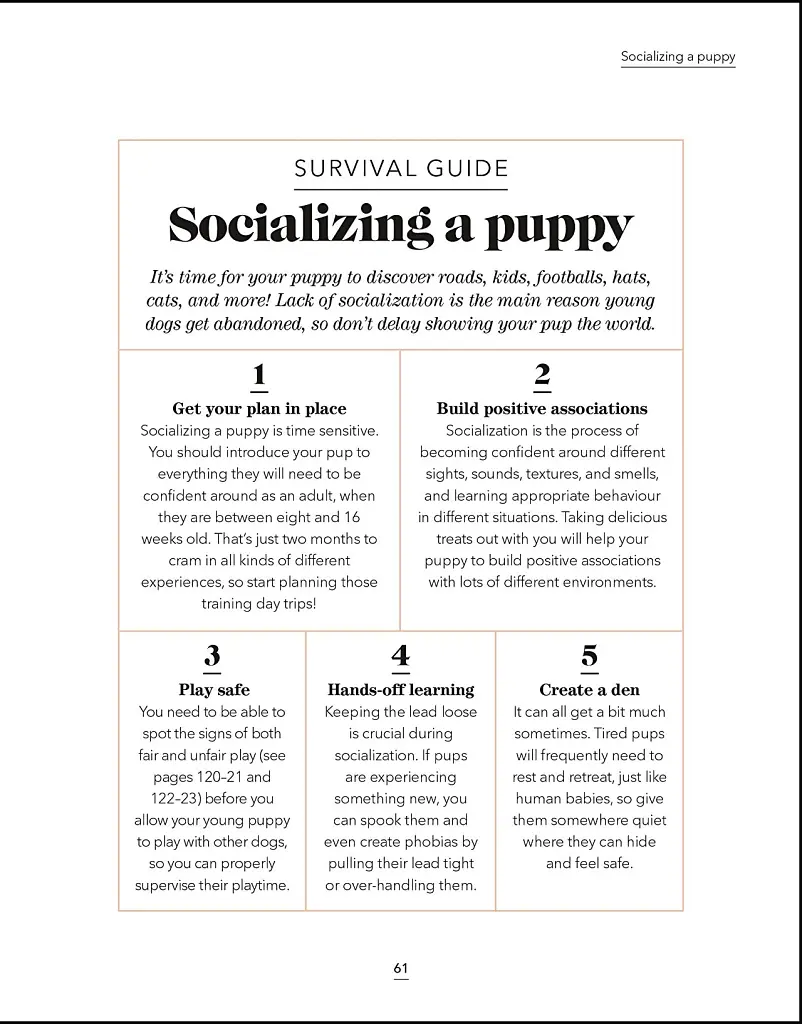 What's My Dog Thinking? Understand Your Dog to Give Them a Happy Life - фото 5