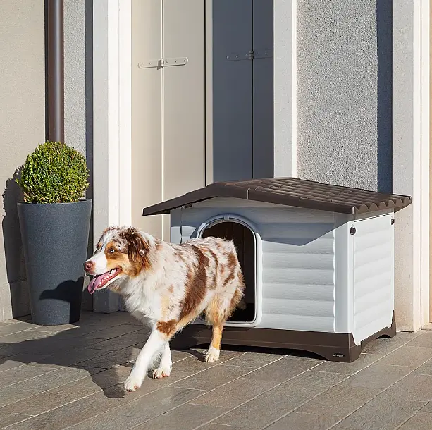 Будиночок для собак Ferplast Dogvilla 90 термопластиковий сірий 88×72×65 см 87255099 - фото 12