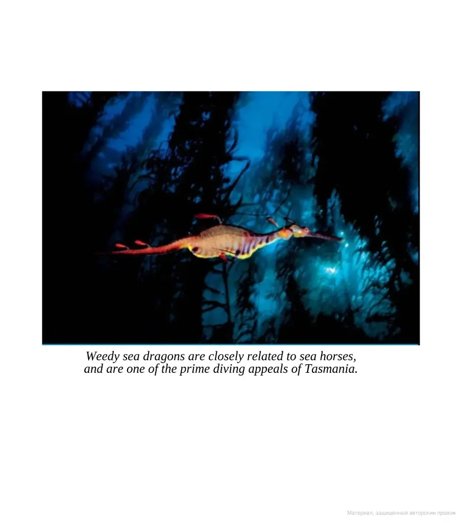 Fifty Places to Dive Before You Die. Diving Experts Share the World's Greatest Destinations - фото 12