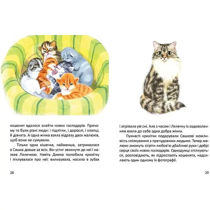 Дитяча книга Талант Завтра до школи Малятам про звірят - Борзова В. В. (9789669352453) - фото 4
