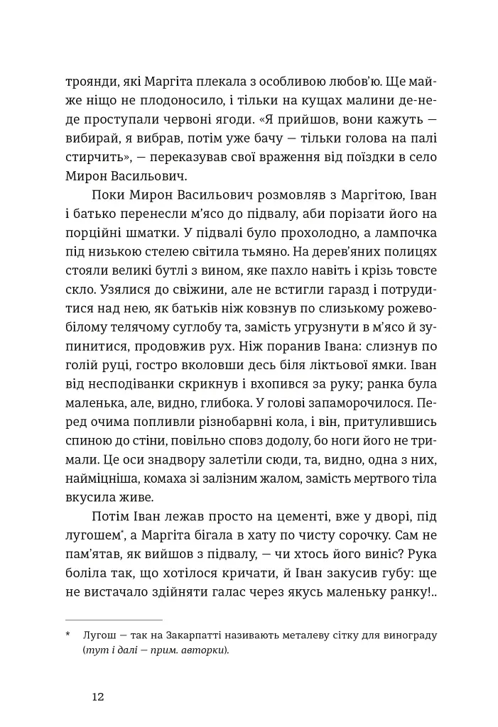 Іван і Феба - Оксана Луцишина - фото 3