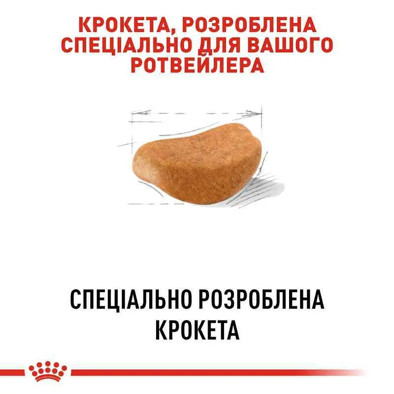 Сухий корм для дорослих собак породи Ротвейлер Royal Canin Rottweiler Adult, з м'ясом птиці, 12 кг (3971120) - фото 4