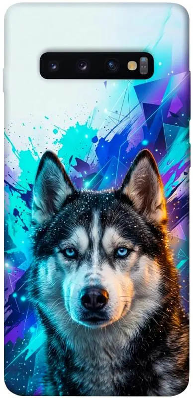 TPU чохол Demsky Husky magic для Samsung Galaxy S10+