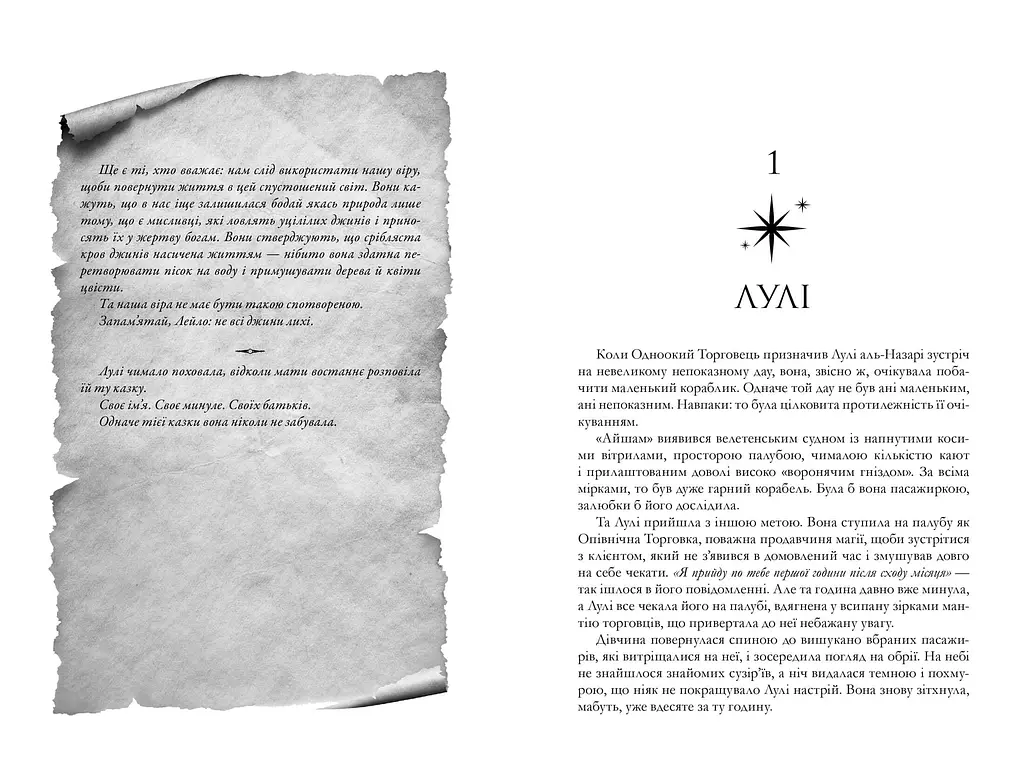 Крадій зоряного пилу Limited edition - Челсі Абдулла - фото 3