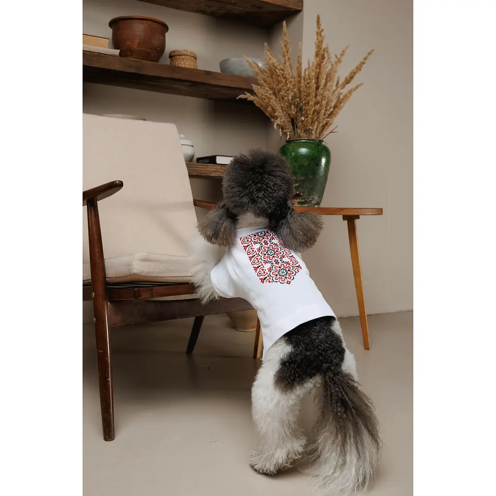 Футболка Pet Fashion Ukraine для собак L - фото 5