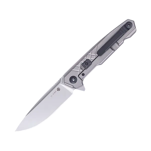 Ніж складаний туристичний Ruike M875-TZ, (8.9 см) N690Co/TC4 (титан) сірий