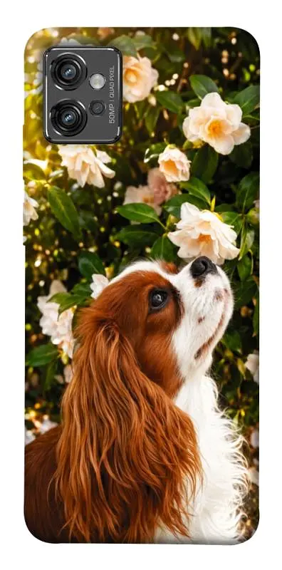 TPU чохол Demsky Flower spaniel для Motorola Moto G32