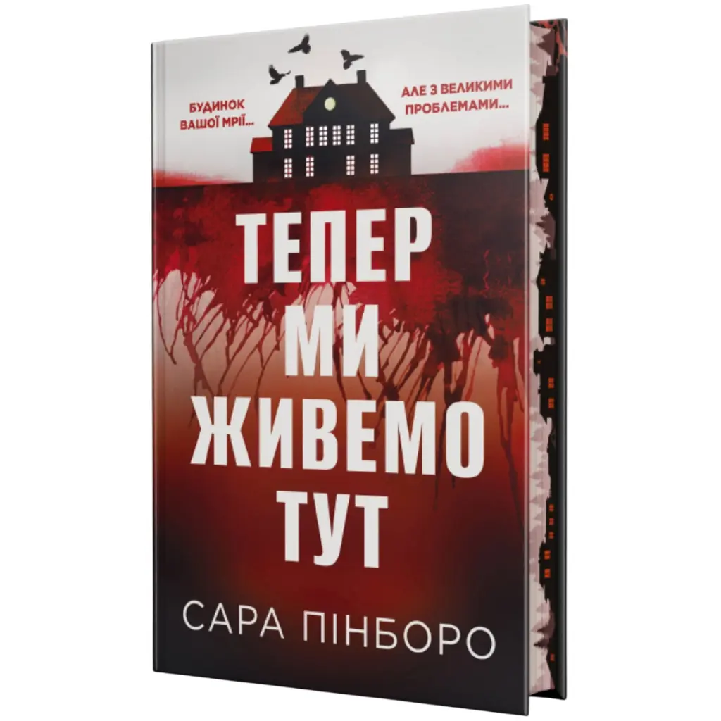 Книга Тепер ми живемо тут - Сара Пінборо Видавництво РМ (9786178691394)