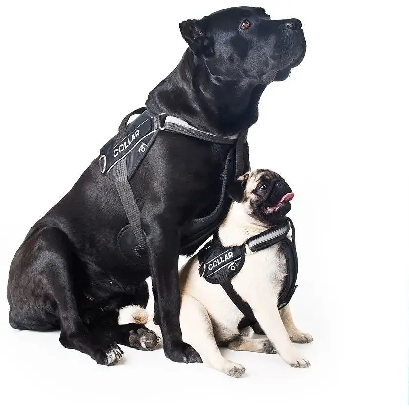 Шлейка Dog Extreme "Police" №2 (В:40-60см), черный - фото 4