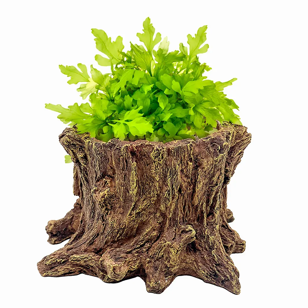 Декорація Hobby Wildwood Stump 15x14,5x9 см - декоративний пень, поїлка, горщик для тераріуму (40849) - фото 4