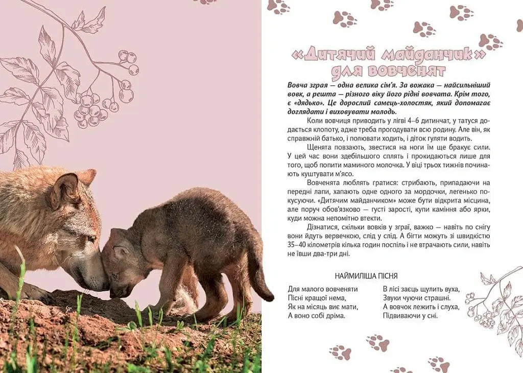 Вусохвості й лапокрилі. Читанка про тварин - Володимир Верховень - фото 4