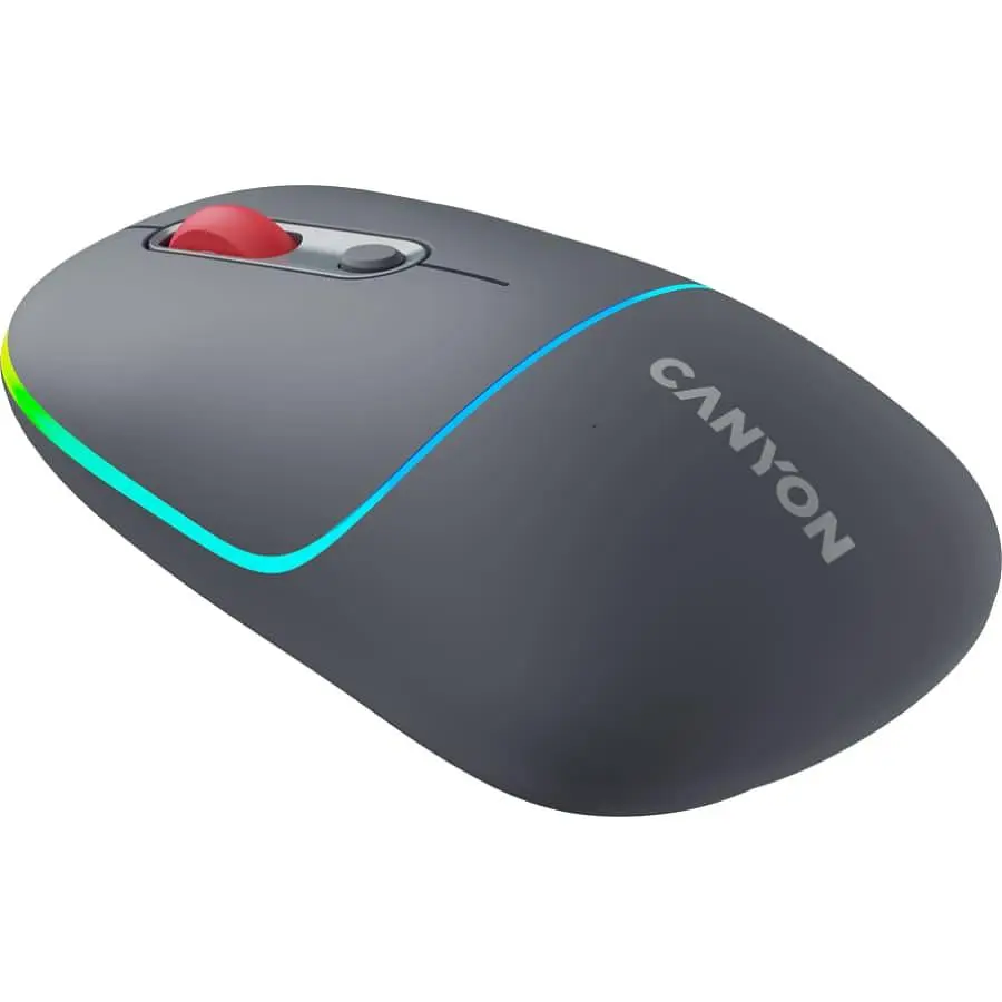 Миша Canyon MW-22 2 in 1 Wireless Dark Grey (CNS-CMSW22DG) - фото 2
