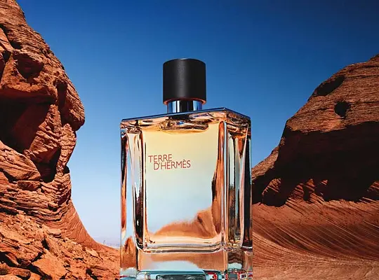 Туалетна вода Terre d'hermes Eau De Toilette 100 ml - фото 4