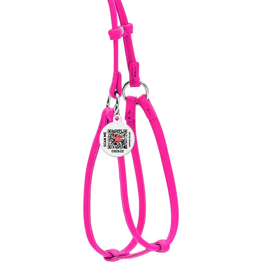 Шлея з повідцем для собак Waudog Glamour, шкіряна, кругла, з QR паспортом, 42-60х46-64х0,6/105 см, рожевий (34027) - фото 2