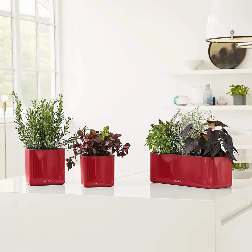 Вазон Lechuza Cube Glossy, 0.7 л, білий (13520) - фото 6