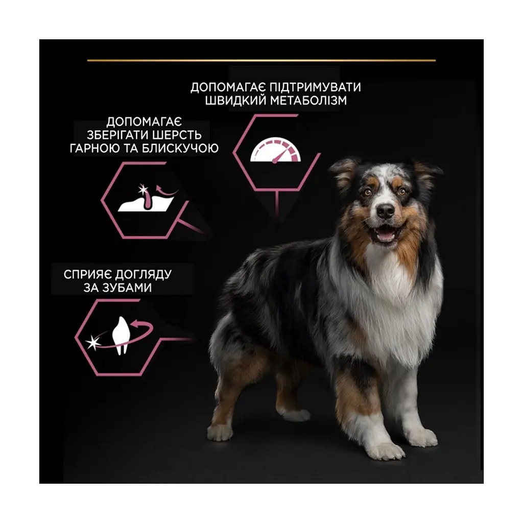 Сухий корм для собак Purina Pro Plan Dog Medium Adult Sensitive Skin з лососем і рисом 14 кг (7613035120464) - фото 8