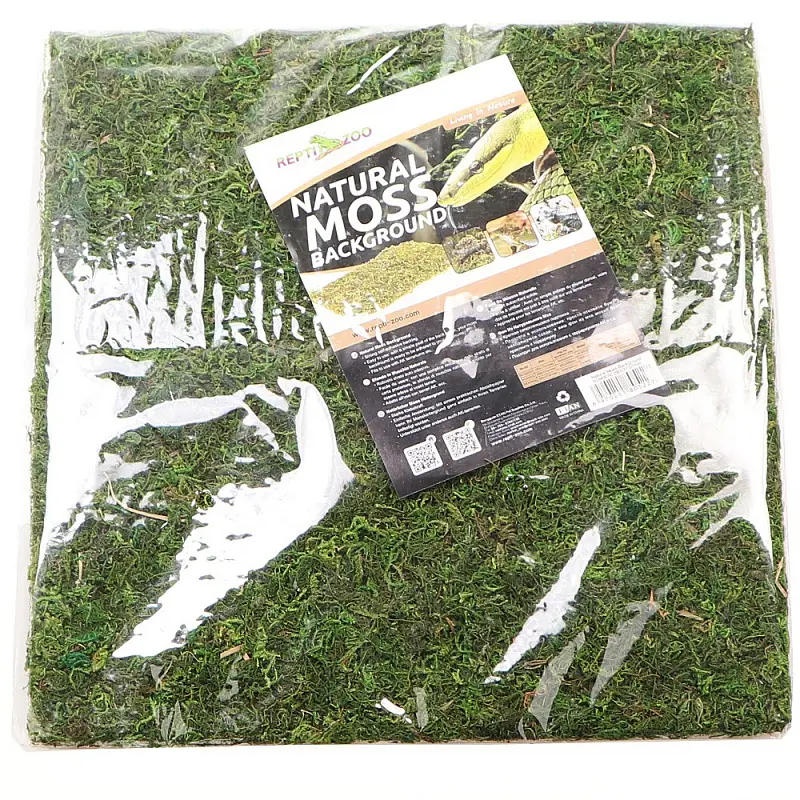 Фон з натурального моху Repti-Zoo Natural Moss Back & Bottom 30x30см 2 шт (NCM3030) для тераріуму - фото 2