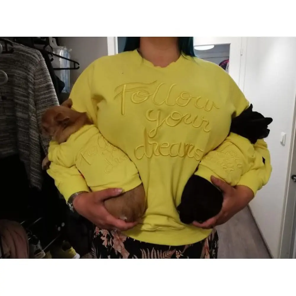 Толстовка Family Look для собак та власників з написом Follow Your Dream без капюшона жовтого кольору Multibrand zoo0005772 - фото 3