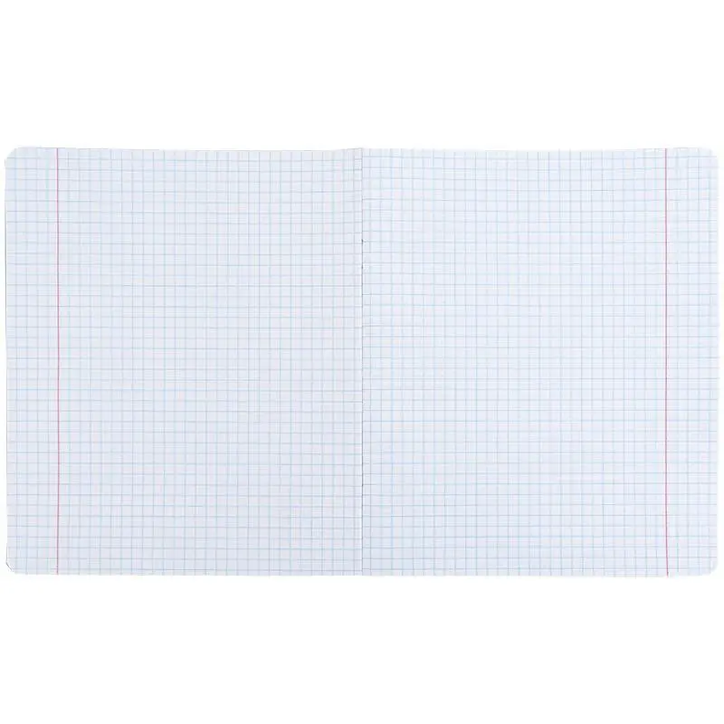Набір зошитів Kite 48 аркушів у клітинку 10 шт. One color 4 (K26-259-4) - фото 2