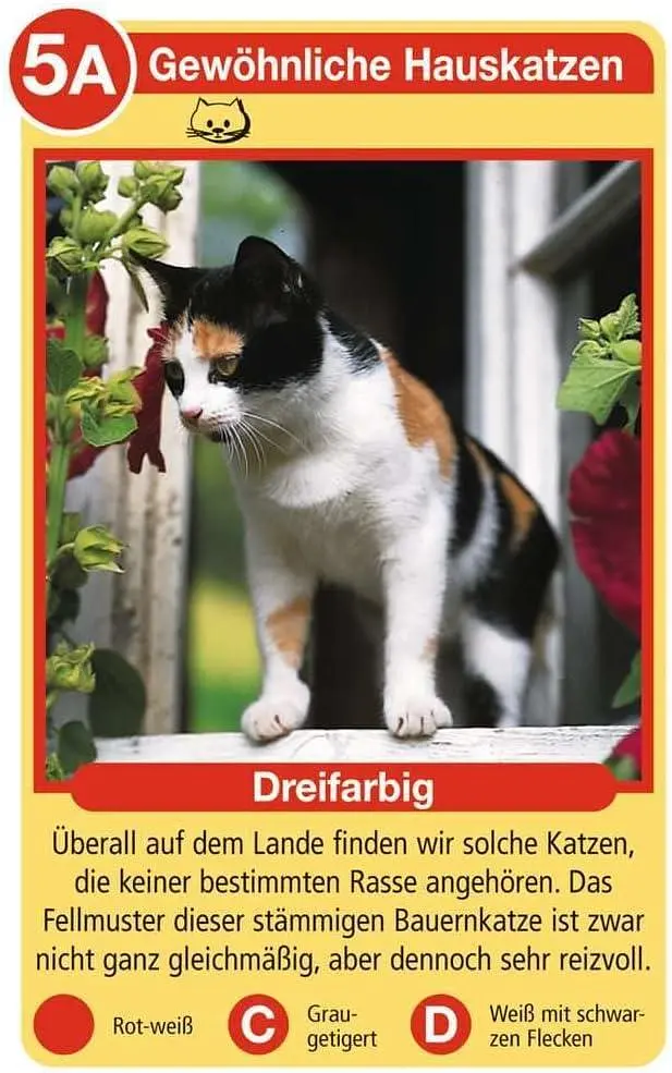 Карткова гра Породи котів Ravensburger Tierquartett Katzen німецька версія 32 породи котів 3–6 гравців (SKU-217) - фото 3