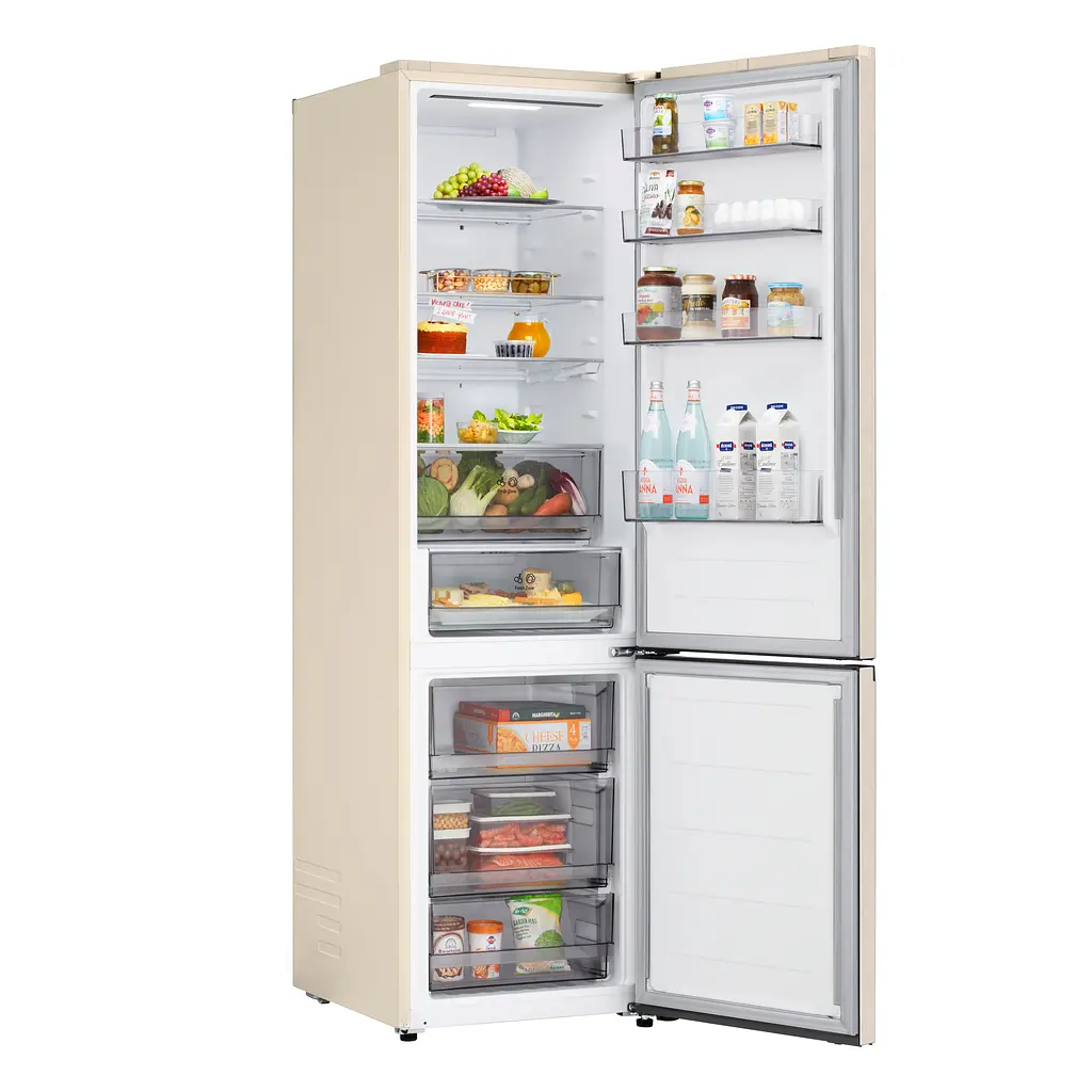 Холодильник LG GC-B509EELM - фото 13
