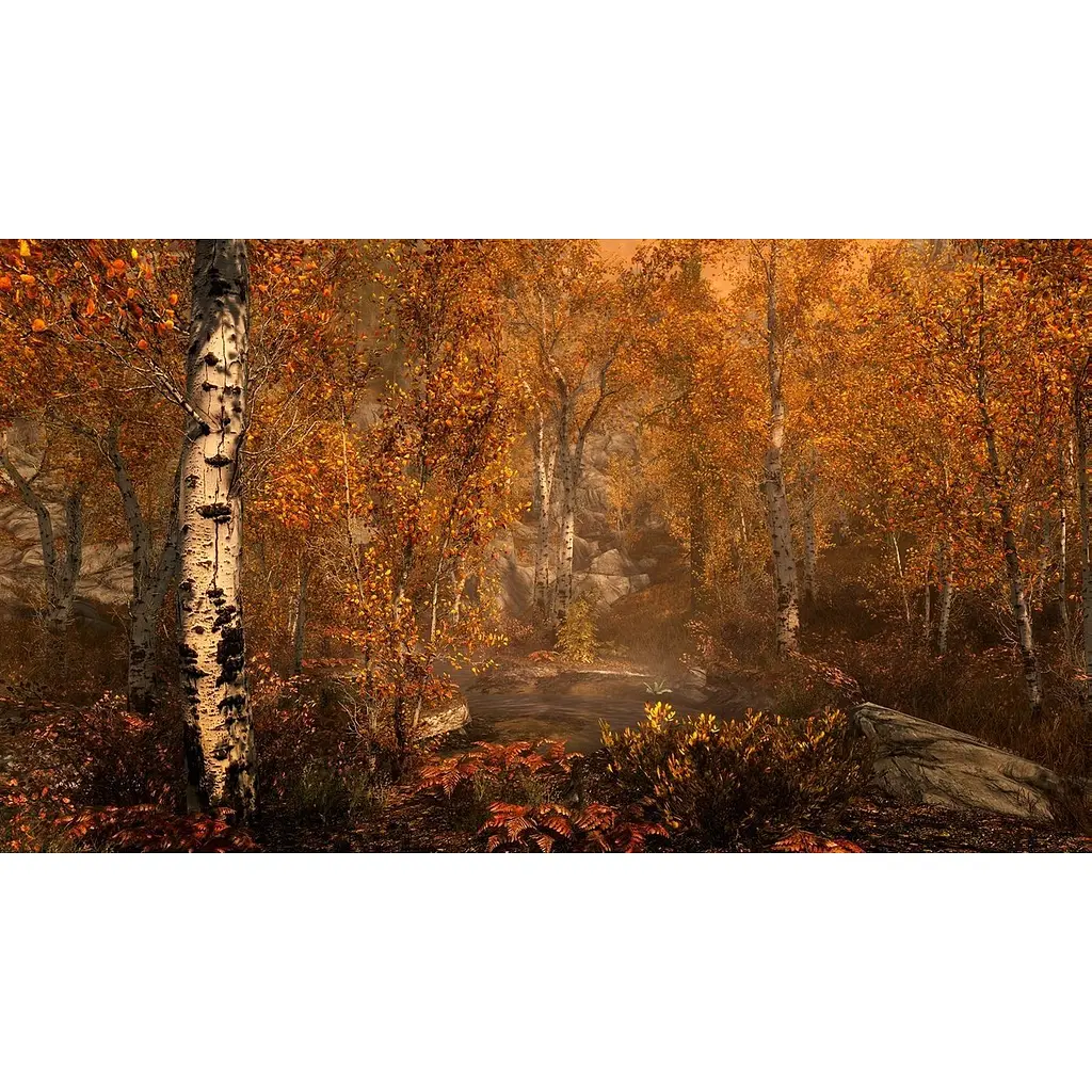 Ключ активации Microsoft The Elder Scrolls V: Skyrim Special Edition для Xbox One/Series - фото 8