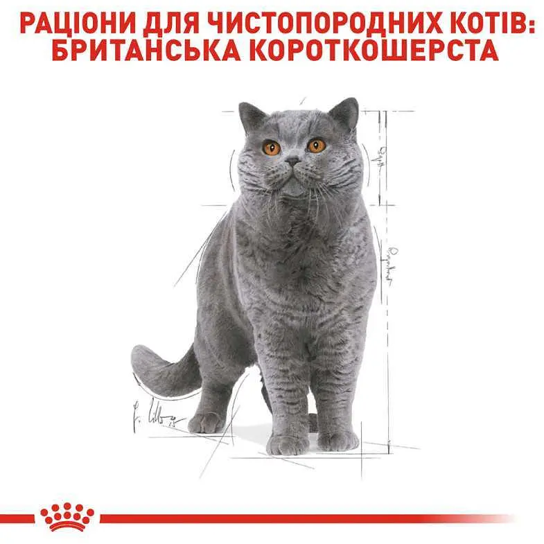 Набір вологого корму для дорослих кішок породи британська короткошерста Royal Canin British Shorthair Adult шматочки в підливі 1.02 кг (12 шт. х 85 г) - фото 4